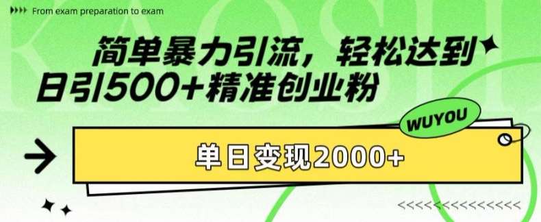 简单暴力引流，轻松达到日引500+精准创业粉，单日变现2k【揭秘】-赛德副业库