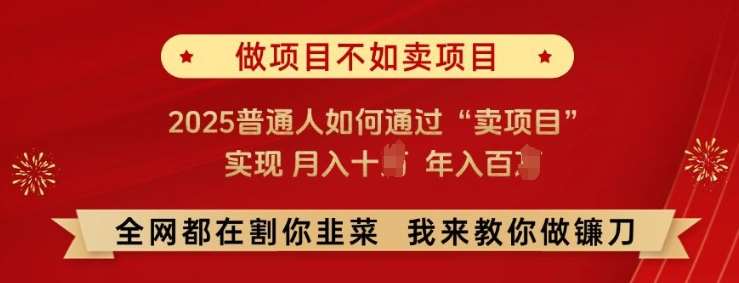必看!做项目不如卖项目,2025普通人如何通过“卖项目”实现月入十个,年入百个【揭秘】-赛德副业库