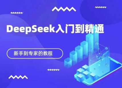 DeepSeek快速从入门到精通，新手的保姆级教程-赛德副业库