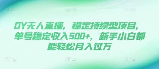 DY无人直播,稳定持续型项目,单号稳定收入500+,新手小白都能轻松月入过万【揭秘】-赛德副业库