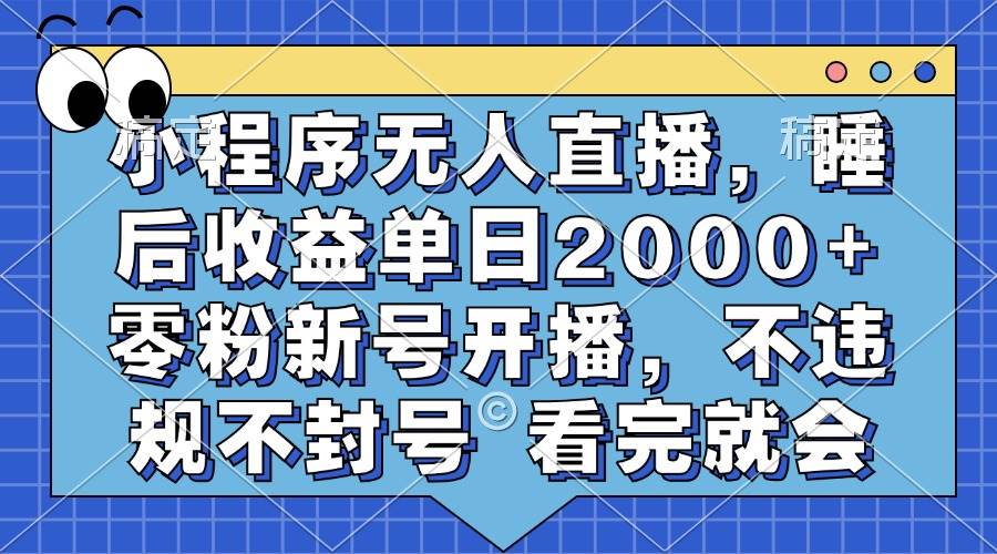 （13251期）小程序无人直播，睡后收益单日2000+ 零粉新号开播，不违规不封号 看完就会-赛德副业库