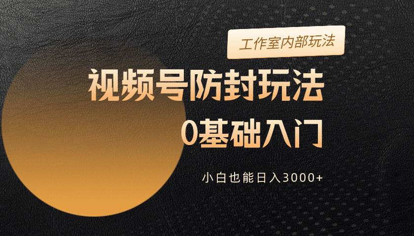 （10107期）2024视频号升级防封玩法，零基础入门，小白也能日入3000+-赛德副业库