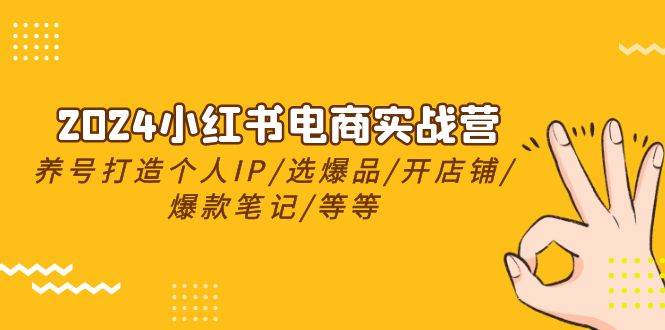 2024小红书电商实战营，养号打造IP/选爆品/开店铺/爆款笔记/等等（24节）-赛德副业库