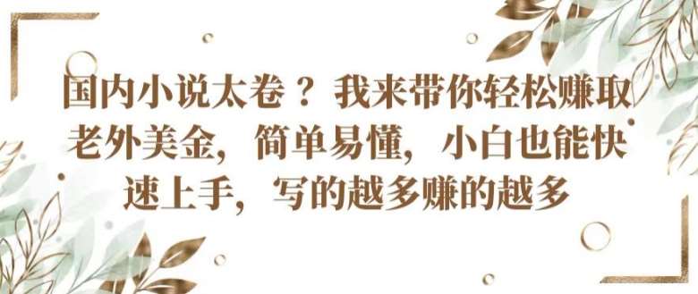 国内小说太卷 ?带你轻松赚取老外美金,简单易懂,小白也能快速上手,写的越多赚的越多【揭秘】-赛德副业库