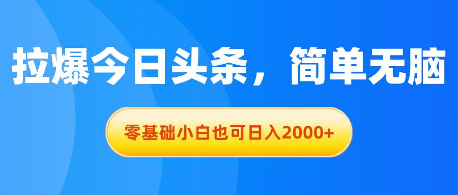(11077期)拉爆今日头条,简单无脑,零基础小白也可日入2000+-赛德副业库