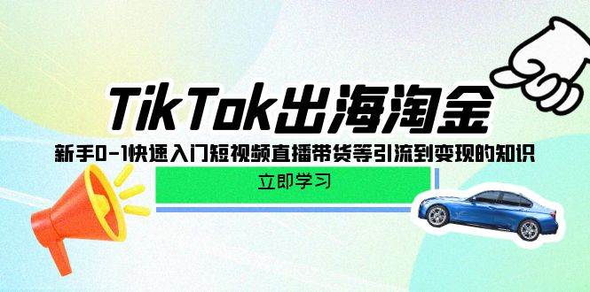 (10035期)TikTok-出海淘金,新手0-1快速入门短视频直播带货等引流到变现的知识-赛德副业库