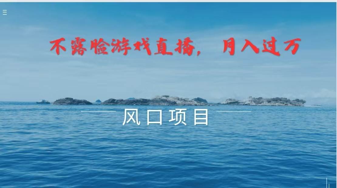 不露脸不出镜，玩转找茬游戏，普通人实现月入过万的好项目-赛德副业库