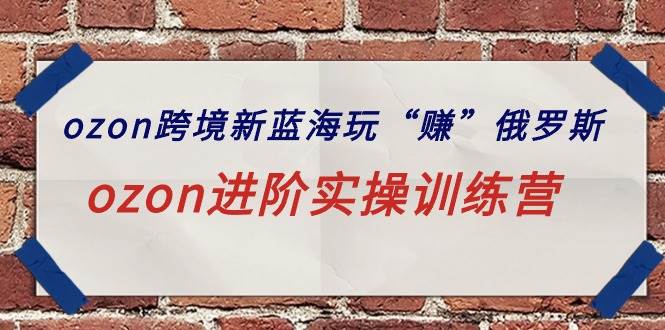 （9800期）ozon跨境新蓝海玩“赚”俄罗斯，ozon进阶实操训练营-赛德副业库