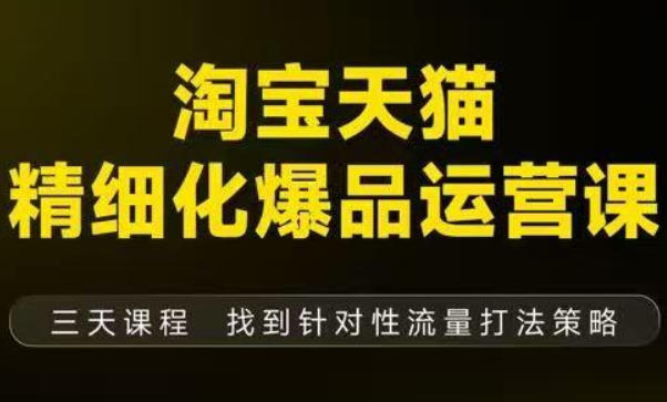 淘宝天猫精细化爆品运营(9月12-14杭州线下课),全方位拆解爆品打造逻辑【音频+字幕+文档】-赛德副业库