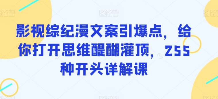 影视综纪漫文案引爆点，给你打开思维醍醐灌顶，255种开头详解课-赛德副业库