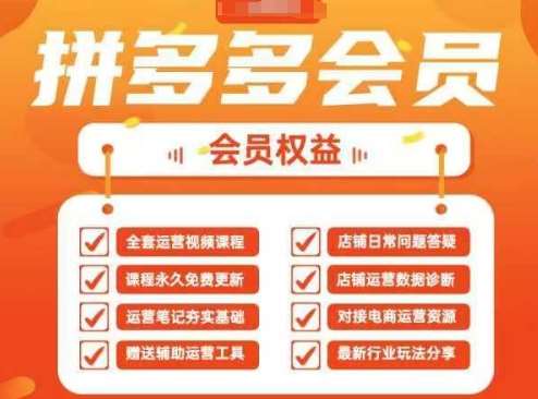 2025拼多多运营实战课，40节全流程教学，覆盖拼多多运营全链路-赛德副业库