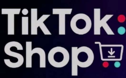 TikTokShop跨境电商0-1实战,手把手教你低成本启动海外市场-赛德副业库