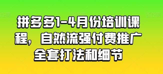 拼多多1-4月份培训课程,自然流强付费推广全套打法和细节-赛德副业库