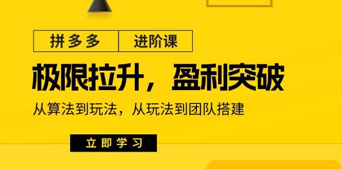 (11435期)拼多多·进阶课:极限拉升/盈利突破:从算法到玩法 从玩法到团队搭建-18节-赛德副业库