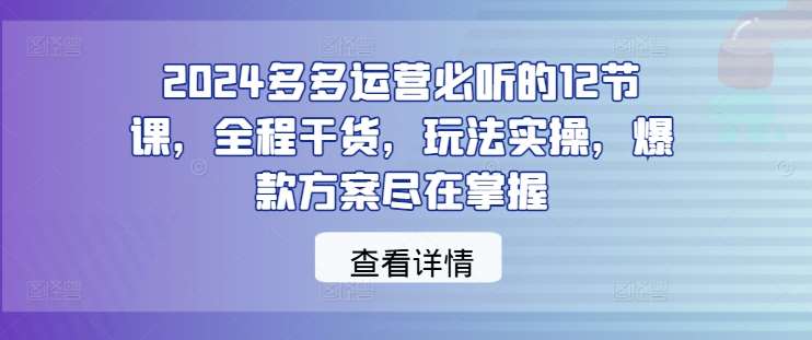 2024多多运营必听的12节课，全程干货，玩法实操，爆款方案尽在掌握-赛德副业库
