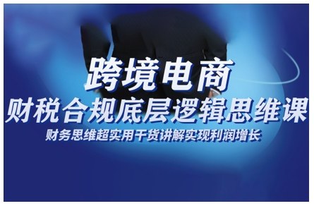 跨境电商财稅合规底层逻辑思维课，财务思维超实用于货讲解实现利润增长-赛德副业库