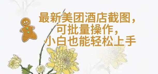 【轻云】最新美团酒店截图，可批量操作，小白也能轻松上手-赛德副业库