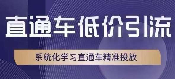 直通车低价引流课，系统化学习直通车精准投放-赛德副业库