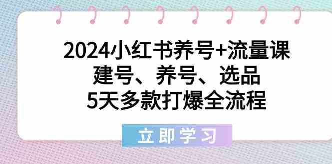 2024小红书养号+流量课：建号、养号、选品，5天多款打爆全流程-赛德副业库