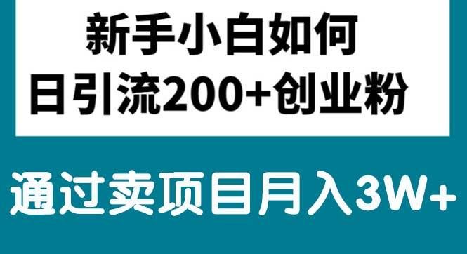 (10843期)新手小白日引流200+创业粉,通过卖项目月入3W+-赛德副业库