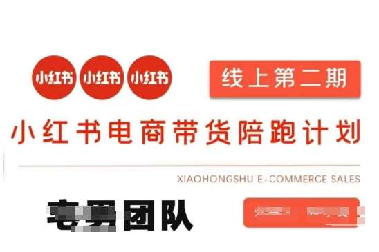 小红书电商带货课2期，月利润20个的小红书电商的有货源，无货源，虚拟产品，付费投流等整套玩法-赛德副业库