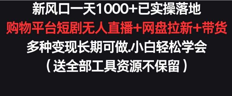 新风口一天1000+已实操落地购物平台短剧无人直播+网盘拉新+带货多种变现长期可做【揭秘】-赛德副业库