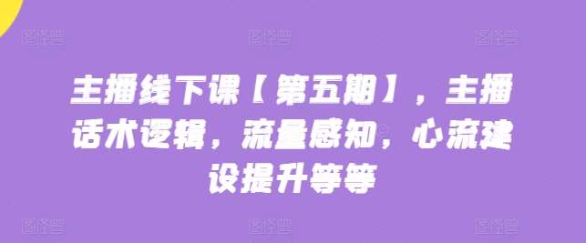 主播线下课【第五期】，主播话术逻辑，流量感知，心流建设提升等等-赛德副业库