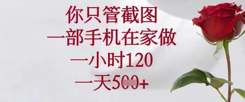你只管截图,一部手机在家做,苹果安卓都可以,一小时120,一天5张+【揭秘】-赛德副业库