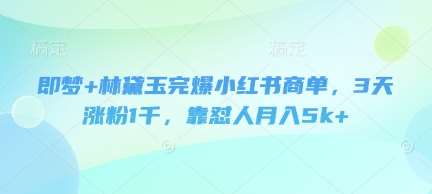 即梦+林黛玉完爆小红书商单,3天涨粉1千,靠怼人月入5k+-赛德副业库