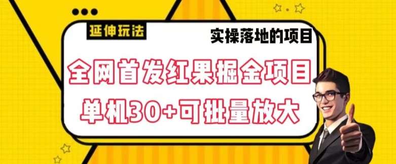 全网首发红果免费短剧掘金项目，单机30+可批量放大【揭秘】-赛德副业库