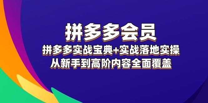 （12056期）拼多多 会员，拼多多实战宝典+实战落地实操，从新手到高阶内容全面覆盖-赛德副业库