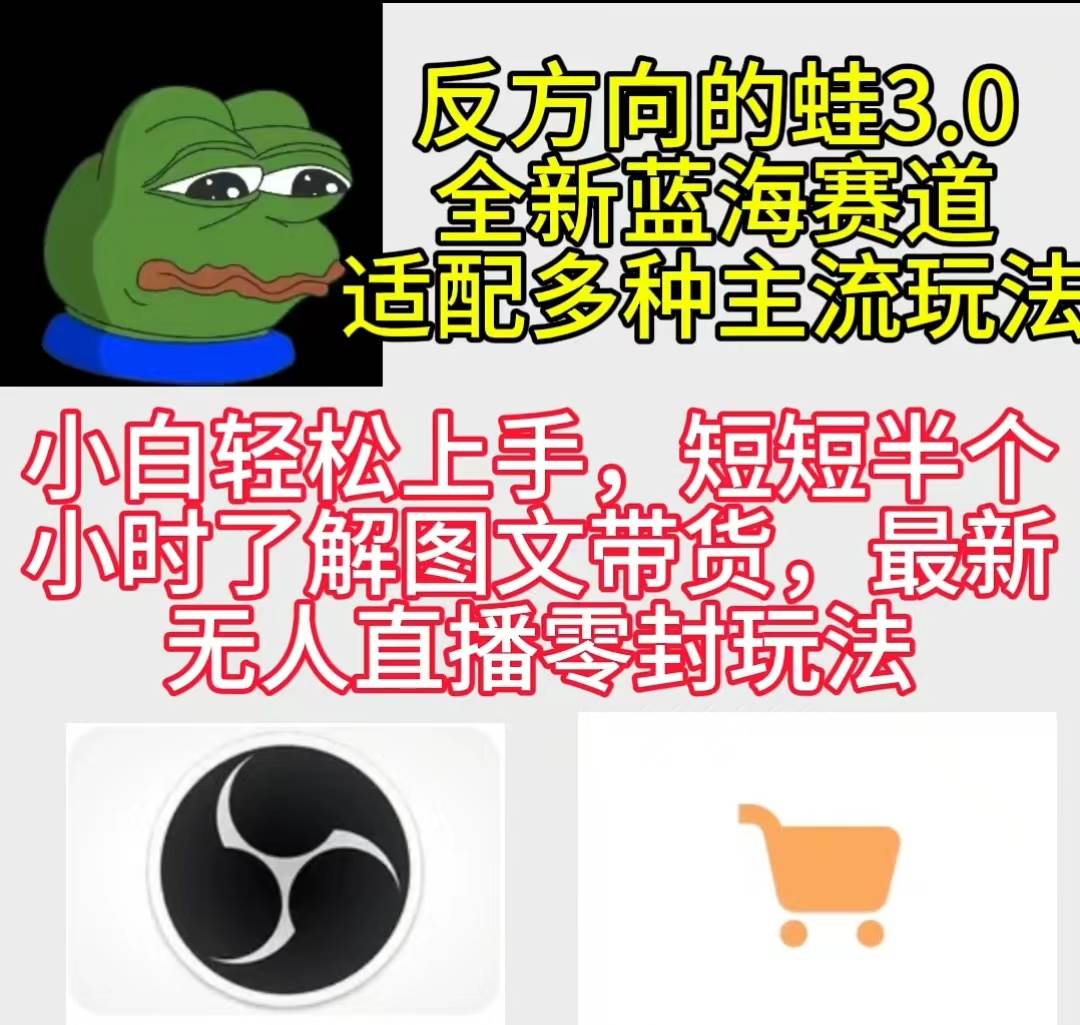 （9485期）反方向的蛙3.0，图文最新玩法，变现多元化，新蓝海项目，小白轻松上手-赛德副业库