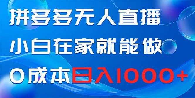 （8450期）拼多多无人直播，小白在家就能做，0成本日入1000+-赛德副业库