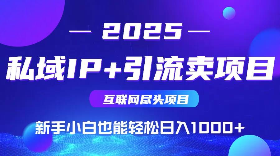 (14613期)私域IP+卖项目,普通人小白也能轻松实现日入1000+-赛德副业库