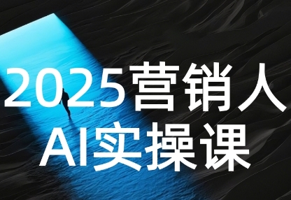 2025营销人Al实操课,AI营销抢跑实战,从Prompt到方案,效率碾压同行-赛德副业库