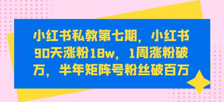 小红书私教第七期，小红书90天涨粉18w，1周涨粉破万，半年矩阵号粉丝破百万-赛德副业库