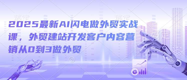 2025最新AI闪电做外贸实战课，外贸建站开发客户内容营销从0到3做外贸-赛德副业库