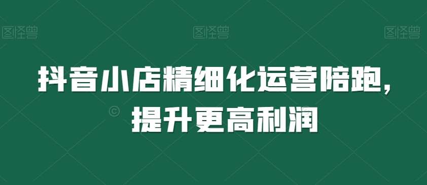 抖音小店精细化运营陪跑，提升更高利润-赛德副业库