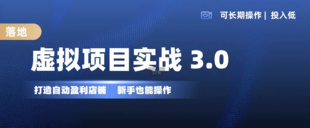 虚拟项目实战3.0，打造自动盈利店铺，可长期操作投入低，新手也能操作-赛德副业库