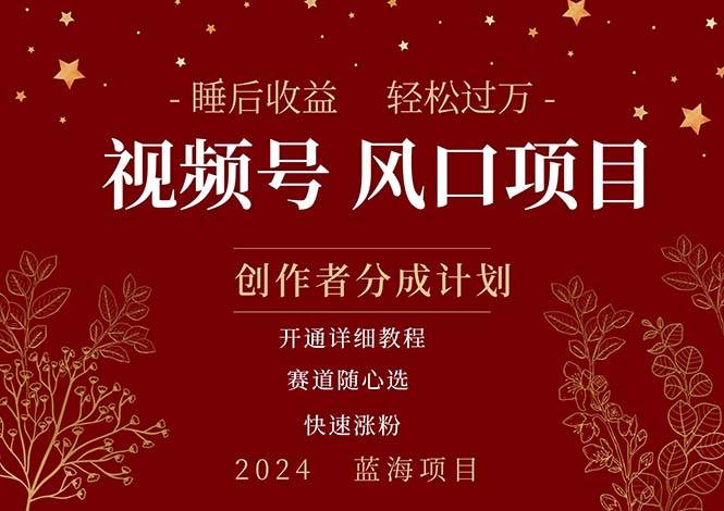 （11331期）拥有睡眠收益的微信视频号大风口项目，轻松月入过万+，多赛道选择，可…-赛德副业库