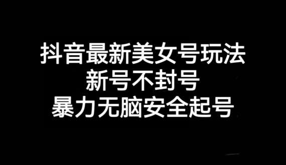 抖音最新美女号玩法，新号不封号，暴力无脑安全起号【揭秘】-赛德副业库