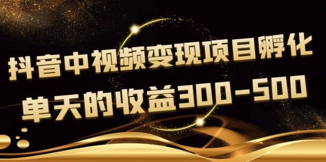 黄岛主《抖音中视频变现项目孵化》单天的收益300-500 操作简单粗暴-赛德副业库