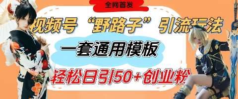 视频号“野路子”玩法，评论区疯狂截流，一套模板单日单号引流50+创业粉-赛德副业库