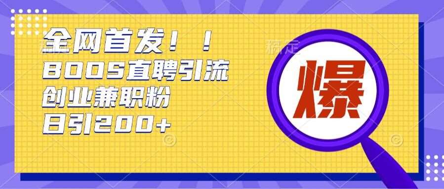 通过Boss直聘，每天轻松钓到200+多条创业大鱼的秘籍【揭秘】-赛德副业库