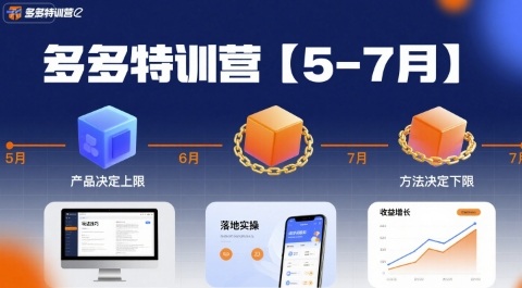 多多特训营【5-7月】产品决定上限，方法决定下限，各种玩法技巧落地实操-赛德副业库