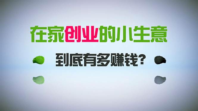 (8999期)在家创业,日引300+创业粉,一年收入30万,闷声发财的小生意,比打工强-赛德副业库
