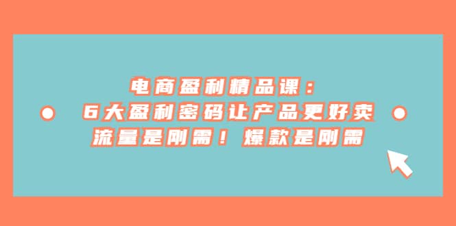 电商 盈利精品课:6大盈利 密码让产品更好卖,流量是刚需!爆款是刚需-赛德副业库