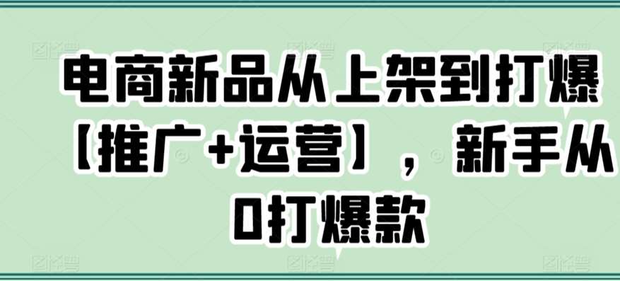 电商新品从上架到打爆【推广+运营】，新手从0打爆款-赛德副业库
