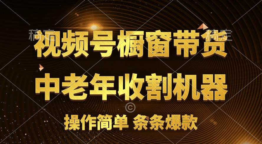 （11009期）[你的孩子成功取得高位]视频号最火爆赛道，橱窗带货，流量分成计划，条…-赛德副业库