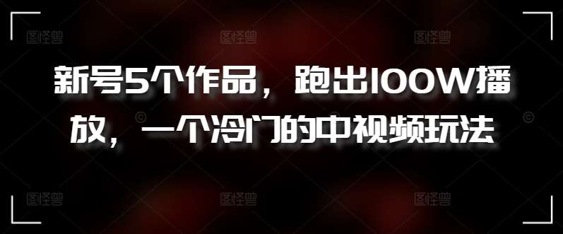 新号5个作品，跑出100W播放，一个冷门的中视频玩法【揭秘】-赛德副业库